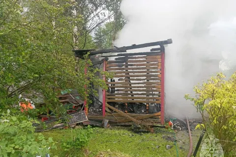 В ярославском садоводстве из-за молнии начался пожар