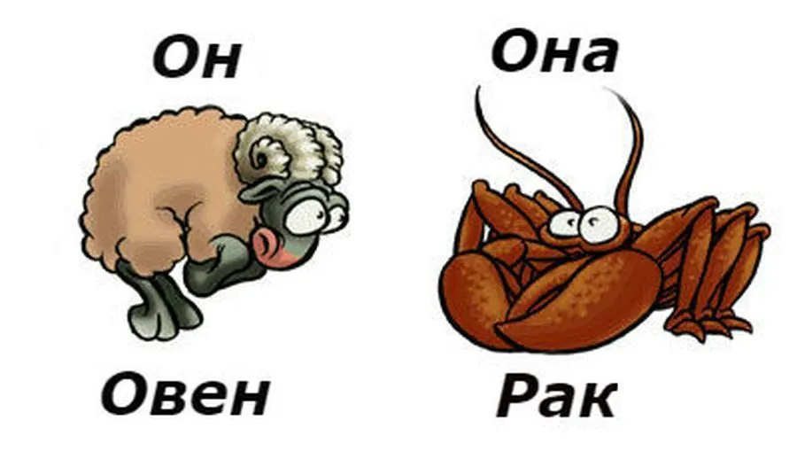 Совместимость мужчины-Овна и женщины-Рака