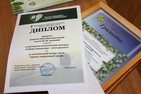 В Ярославле ликвидировано 133 несанкционированные свалки