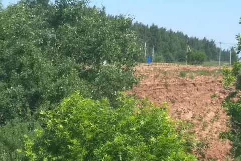 У въездной стелы в Ярославле убрали свалку