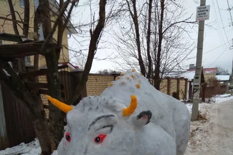 В Ярославле символу Нового года сломали рог