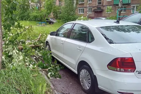 В Ярославле ночью устраняли последствия вчерашней грозы