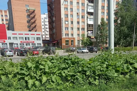 Мэрия Ярославля не успевает убирать мусор за брагинцами