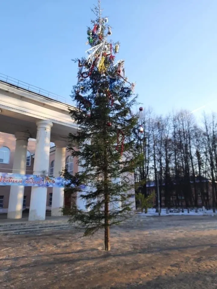 «Елочка нам не нравится»: жители Резинотехники обиделись на ярославские власти