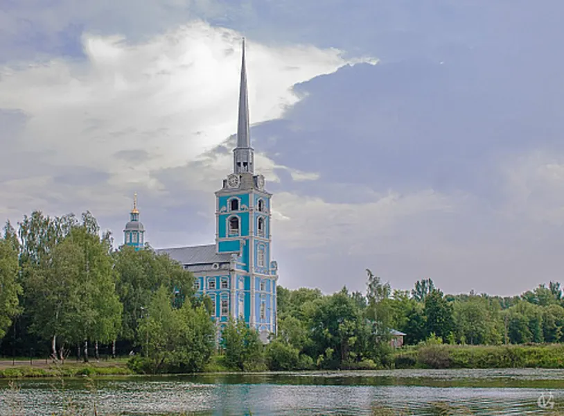 В Ярославле пройдет акция «Цветные деревья»