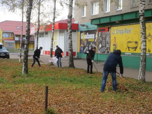 Во Фрунзенском районе Ярославля провели субботник