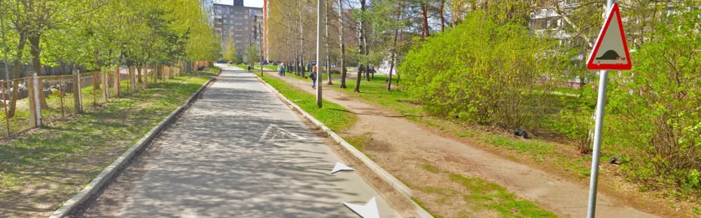 В Ярославле сделают пешеходную зону на заволжском проезде