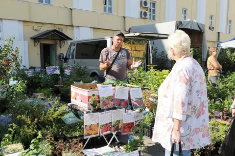 В Ярославле начала работу XV межрегиональная выставка «Сады». Фоторепортаж