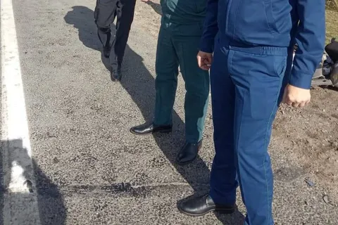 Ярославская прокуратура проведет проверку по факту ДТП с Сергеем Пускепалисом