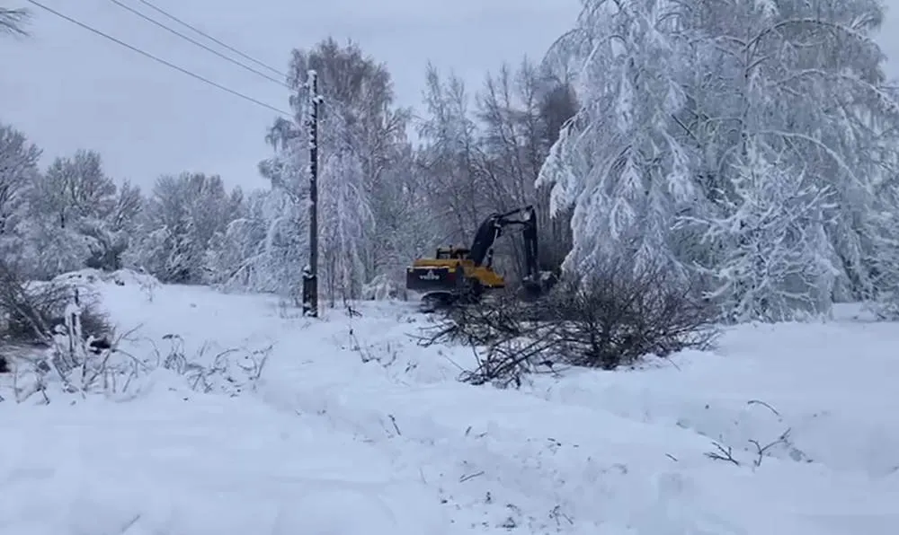 В шести муниципалитетах Ярославской области введен режим ЧС
