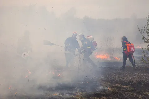 В соцсетях размещены фотографии пожара в Ярославской области от Гринпис