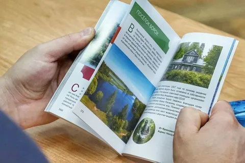 Осенний марафон книжных новинок издательства «Медиарост»