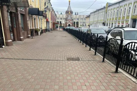 В центре Ярославля меценаты посадят новые деревья взамен спиленных