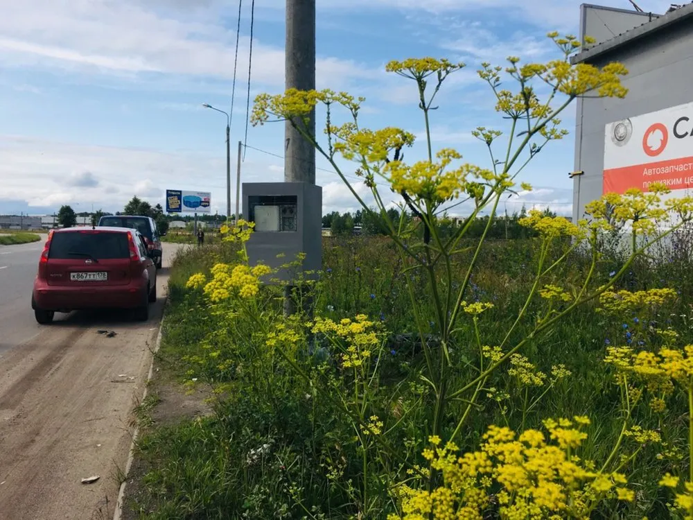 Ярославских общественников удивили места размещения камер видеофиксации