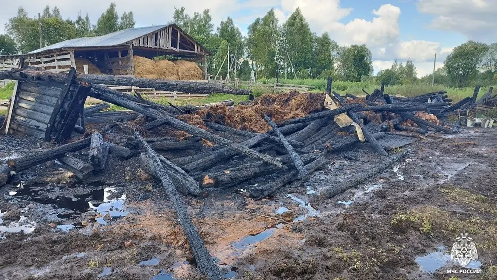В Угличском округе из пожара спасли теленка и двух козочек