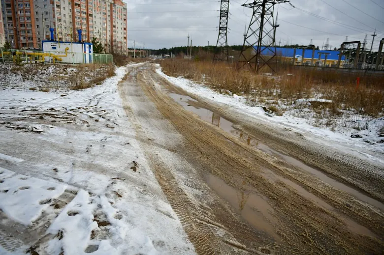 Ярославским многодетным семьям вместо земли будут давать деньги