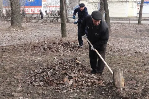 В Красноперекопском районе Ярославля проведено 25 субботников