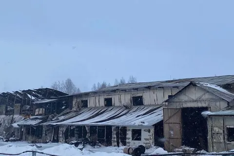 В Гаврилов-Яме началось восстановление «Садов Аурики»