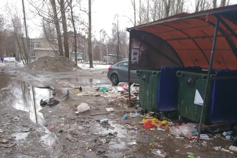 Мэрия Ярославля не справляется с уборкой мусорных площадок