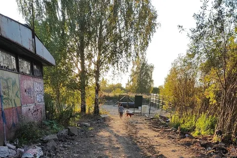 «Ноги тонут»: в Рыбинске протестировали новую собачью площадку