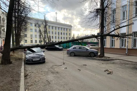 Упавшее дерево перекрыло улицу Флотская в Ярославле