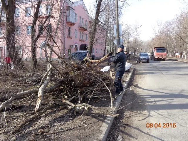 Жители Фрунзенского района Ярославля провели субботник