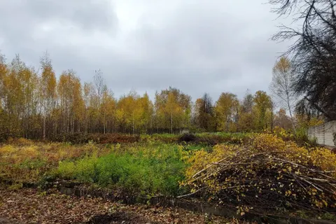 В Ярославле расчищают свободный участок у воинского мемориального кладбища
