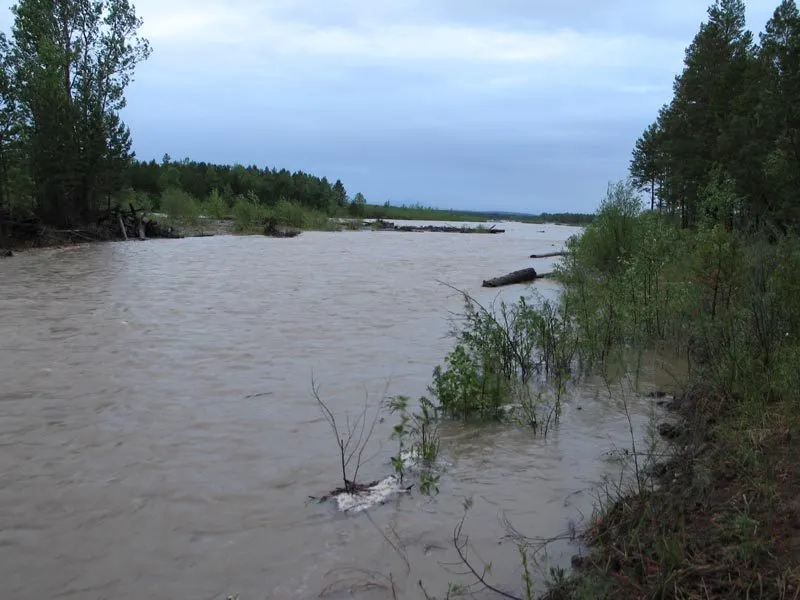 Уровень воды в Волге приближается к критическим отметкам