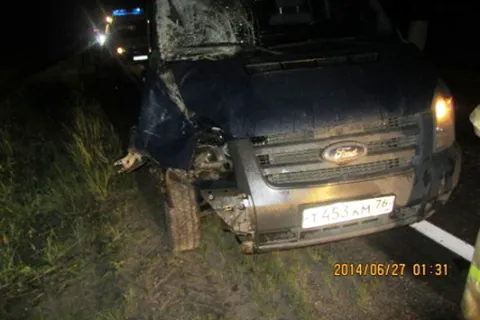 В Гаврилов-Ямском районе ночью погиб пешеход