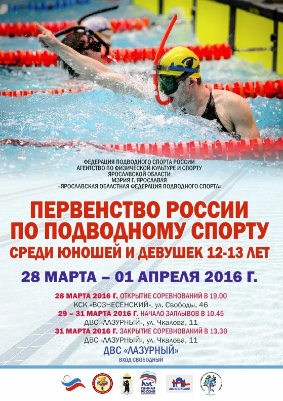 У ярославских пловцов два «золота» и две «бронзы»