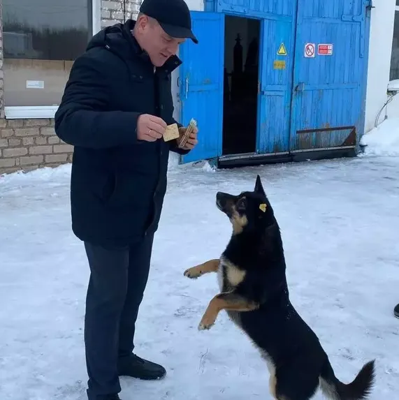 В Уфе появился пес-метеоролог