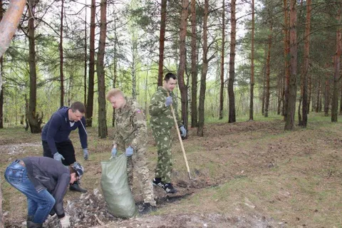 Из лесов Ярославской области вывезли более 800 кубометров мусора