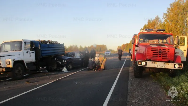 В Ярославской области после ДТП с лосем погиб водитель грузовика
