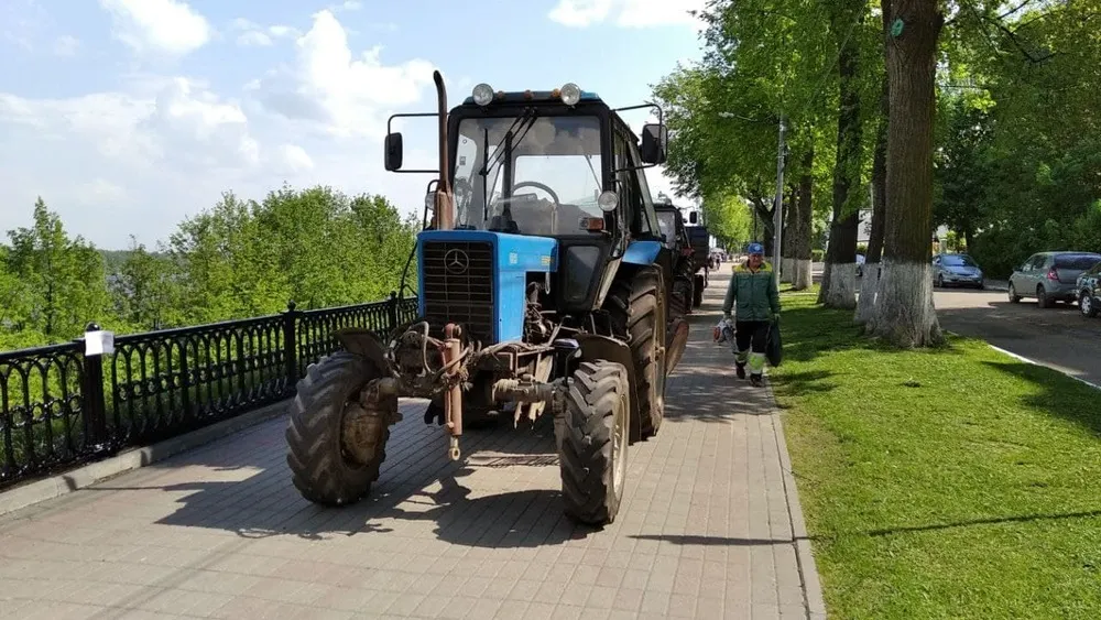 В Ярославле на Волжской набережной посадят липы