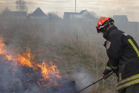 В соцсетях размещены фотографии пожара в Ярославской области от Гринпис