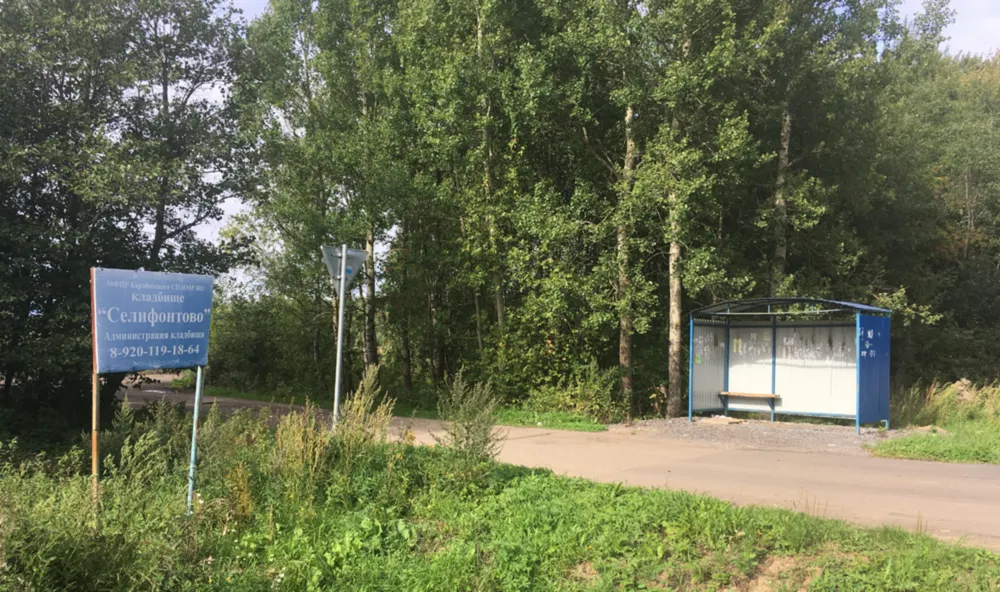Ярославцы просят мэрию сделать дорогу на кладбище