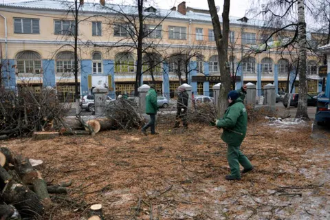 Второй сквер  лег под нож в центре Ярославля