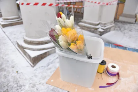 В Ярославле начали нелегально продавать цветы к 8 Марта