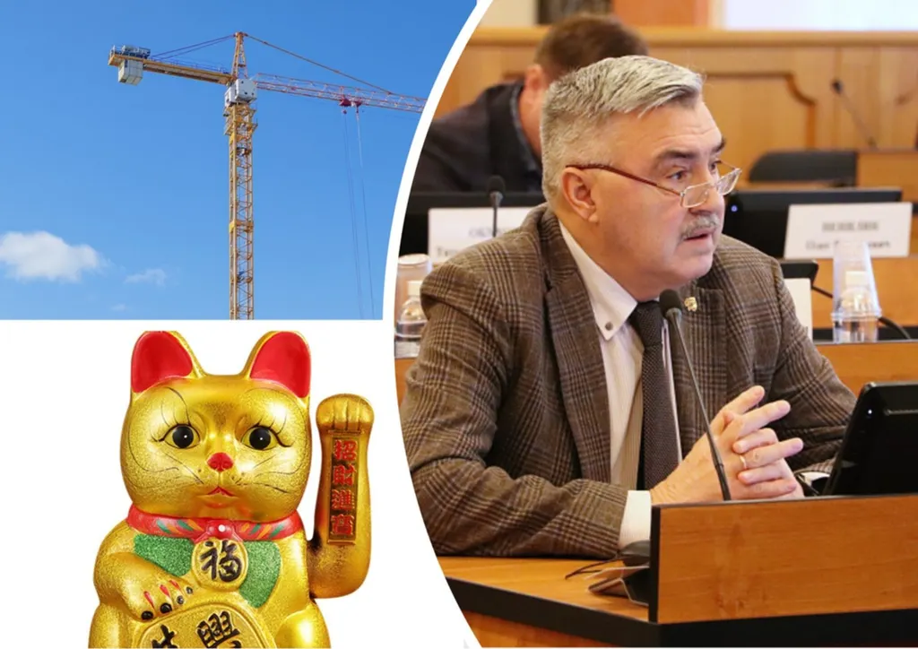 Ярославский депутат сравнил жителей Суздалки с бездомными кошками в Китае