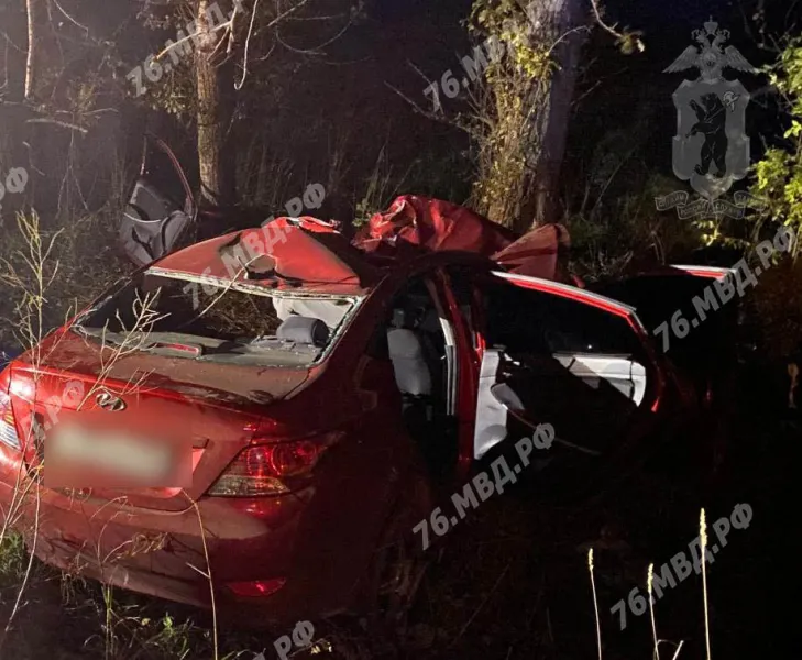 В Ярославской области легковушка сбила лося: погиб 23-летний водитель