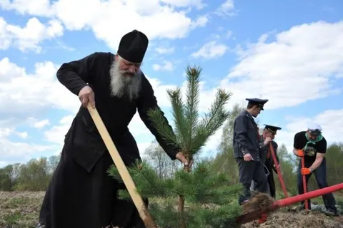 На родине Ушакова в Рыбинском районе посажено четыреста молодых сосен