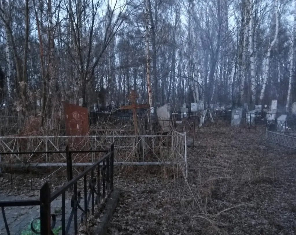 На Северном кладбище в Ярославле проведут вырубку деревьев