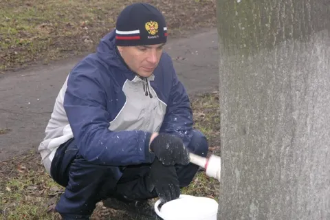 Председатель муниципалитета Ярославля Алексей Малютин принимает поздравления с днем рождения