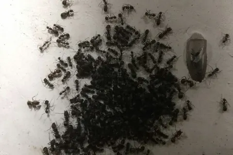 Новых обитателей ярославского зоопарка прислали посылкой из Комсомольска на Амуре