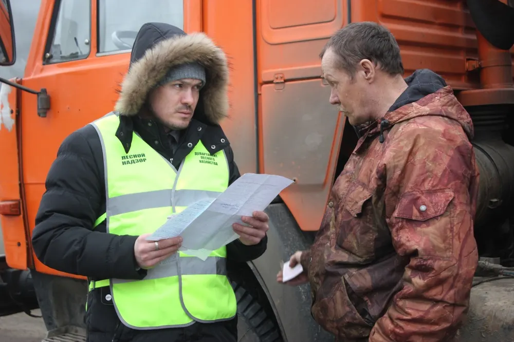 ​В Ярославле по незаконным вырубкам леса ударили очередным рейдом