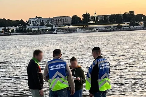 Видеокамеры помогли оштрафовать 18 ярославцев за неправильный выгул собак