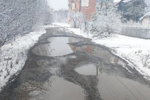 Жителям ярославского поселка Сокол предлагают стать птицами?