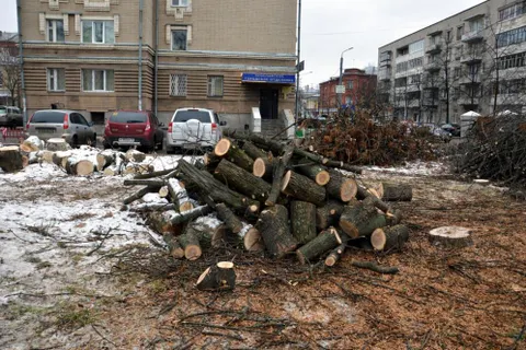 Второй сквер  лег под нож в центре Ярославля