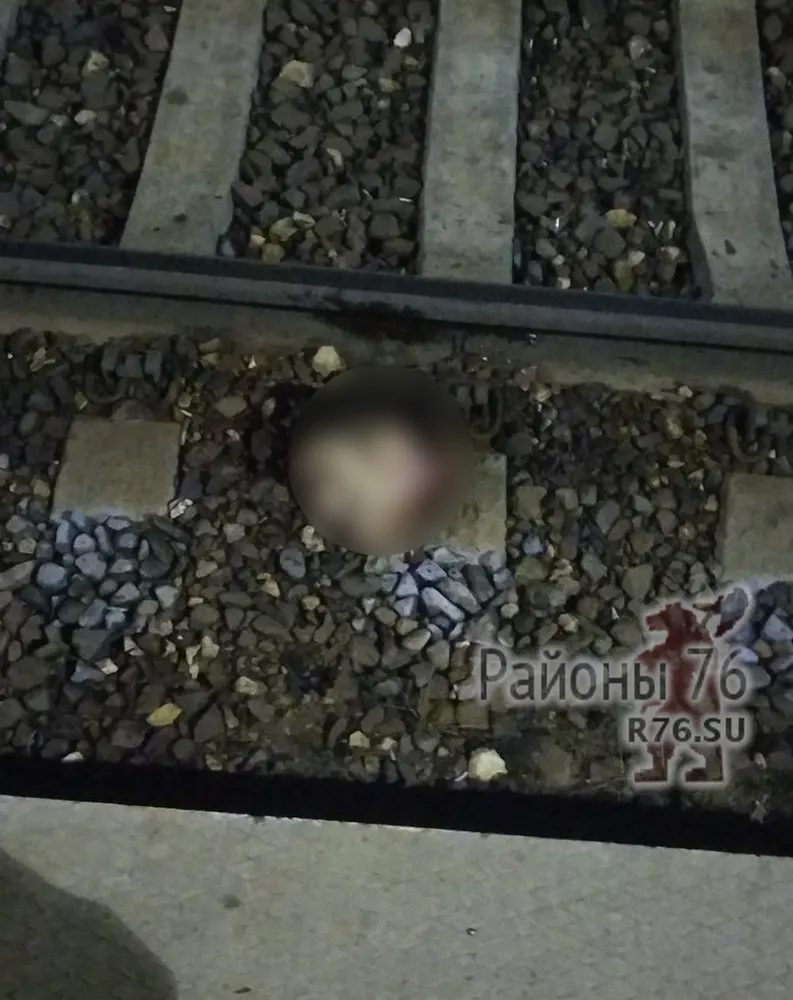 В Ярославле мужчине поездом отрезало голову