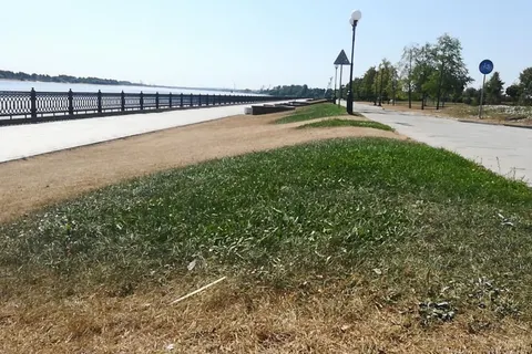 После требований мэра Ярославля трава на Стрелке не позеленела